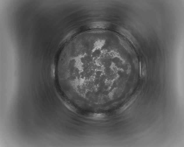 X0000112830157200909041509