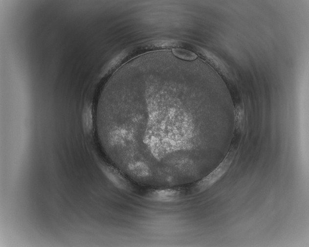 X0000112830158200909041509