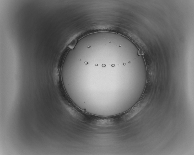 X0000112830160200909041509