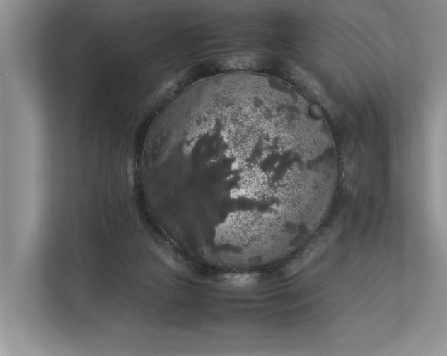 X0000112830161200909041510