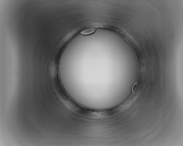 X0000112830164200909041510