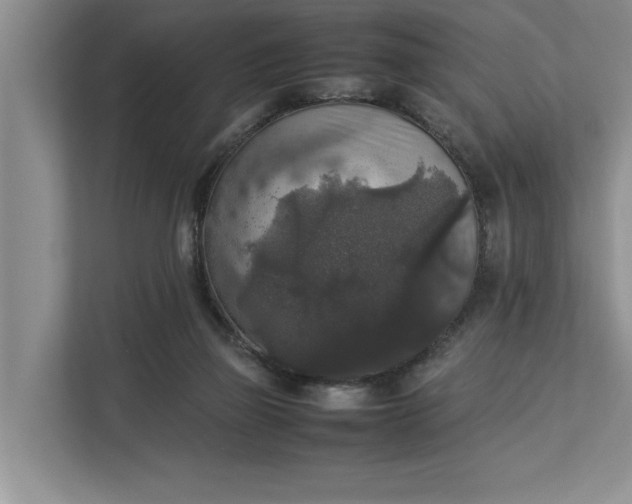 X0000112830165200909041510