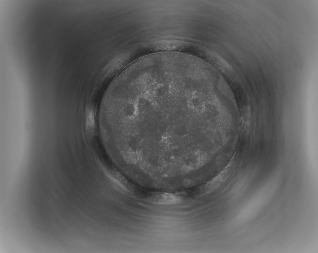 X0000112830166200909041510