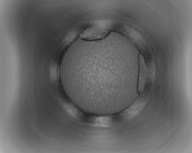 X0000112830168200909041510