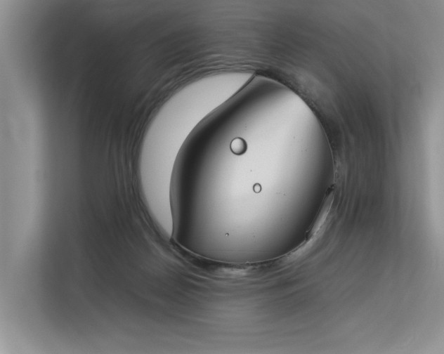 X0000112830170200909041510