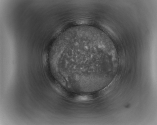 X0000112830171200909041510