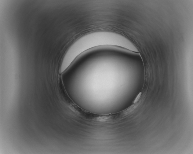 X0000112830172200909041510