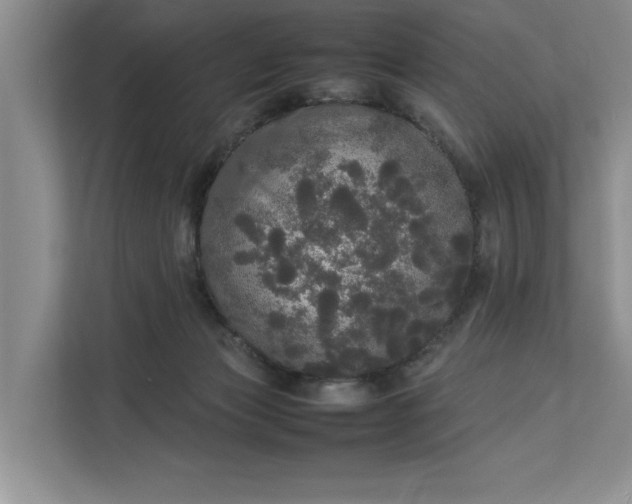 X0000112830173200909041510