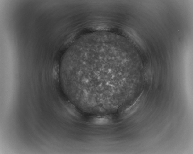 X0000112830175200909041510