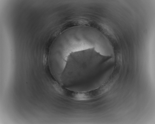 X0000112830177200909041510