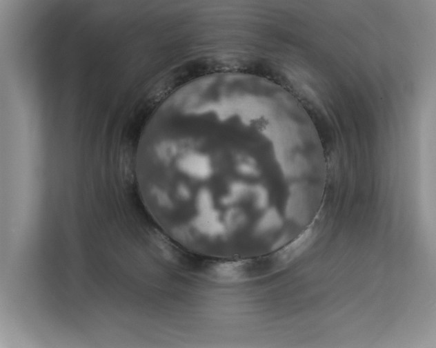 X0000112830178200909041510