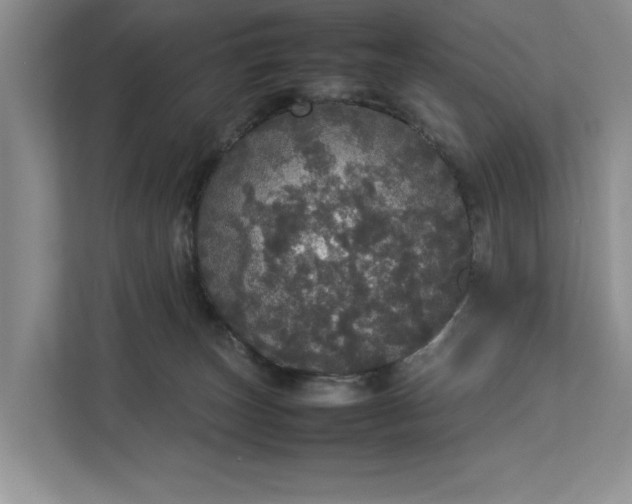 X0000112830179200909041510