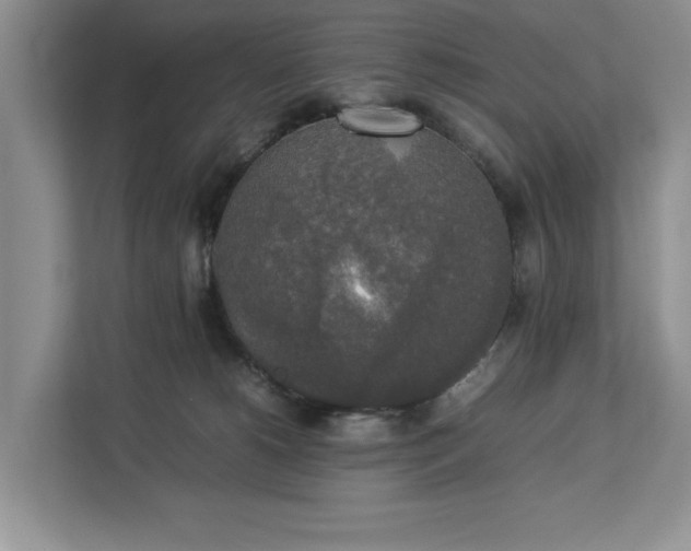 X0000112830180200909041510