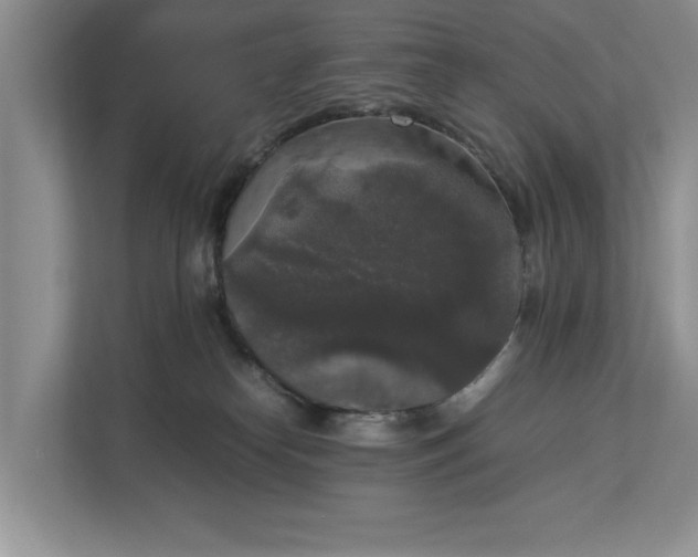 X0000112830182200909041510