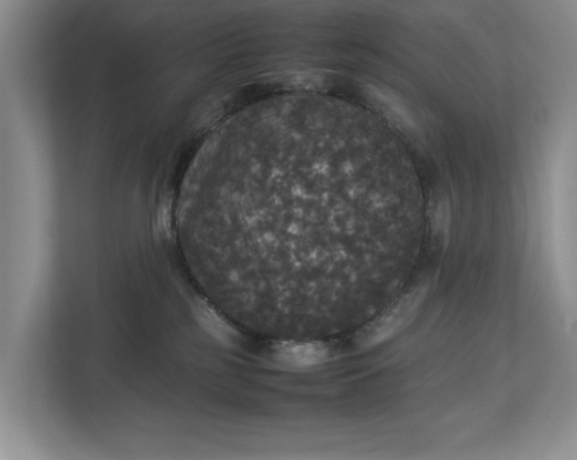 X0000112830185200909041510