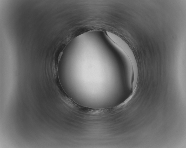 X0000112830186200909041510