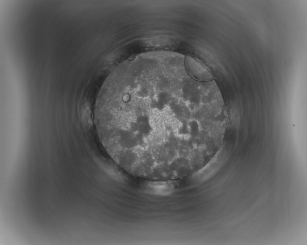 X0000112830187200909041510