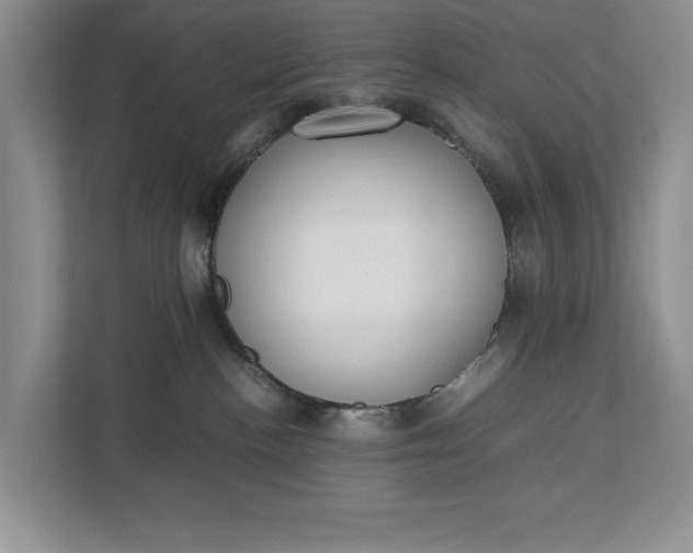 X0000112830188200909041510