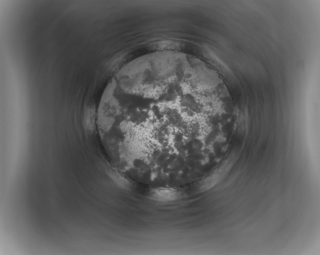 X0000112830189200909041510