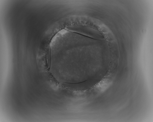 X0000112830192200909041510