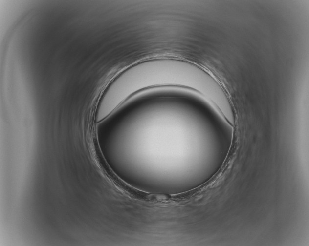 X0000112830193200909041509