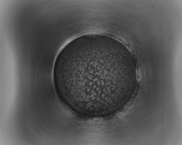 X0000112830196200909041509