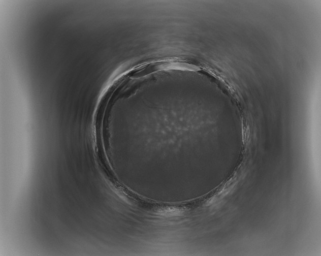 X0000112830198200909041509