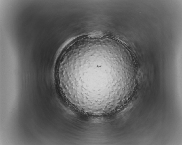 X0000112830200200909041509