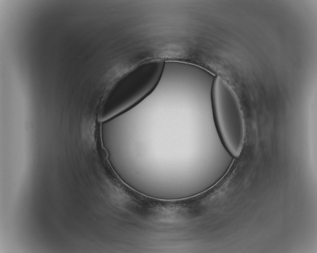 X0000112830201200909041509