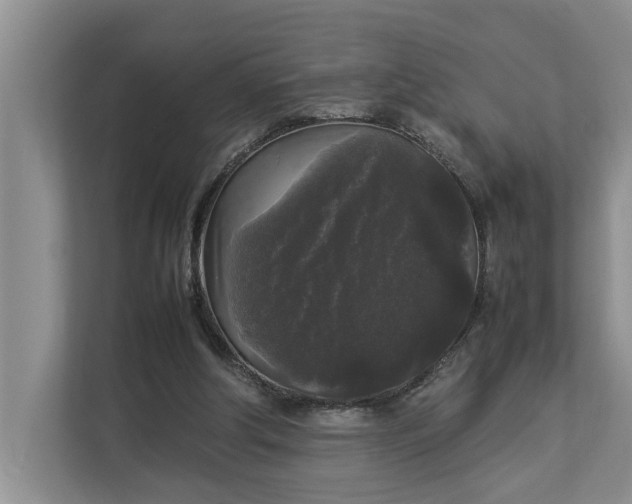 X0000112830202200909041509