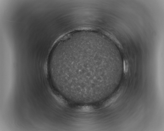 X0000112830204200909041509