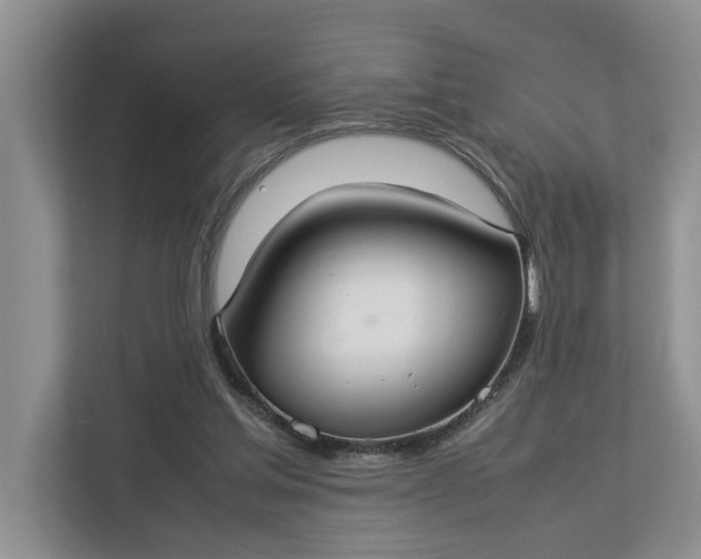 X0000112830205200909041509