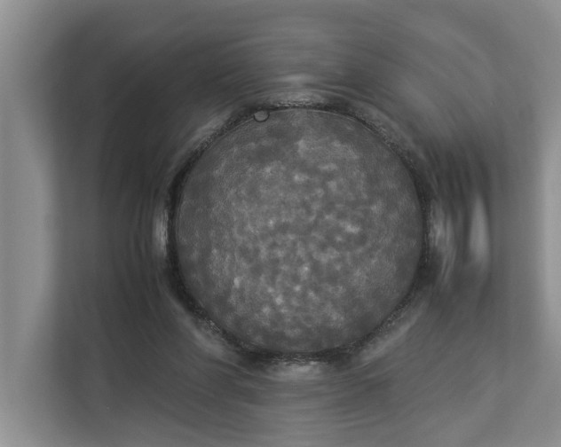 X0000112830206200909041509