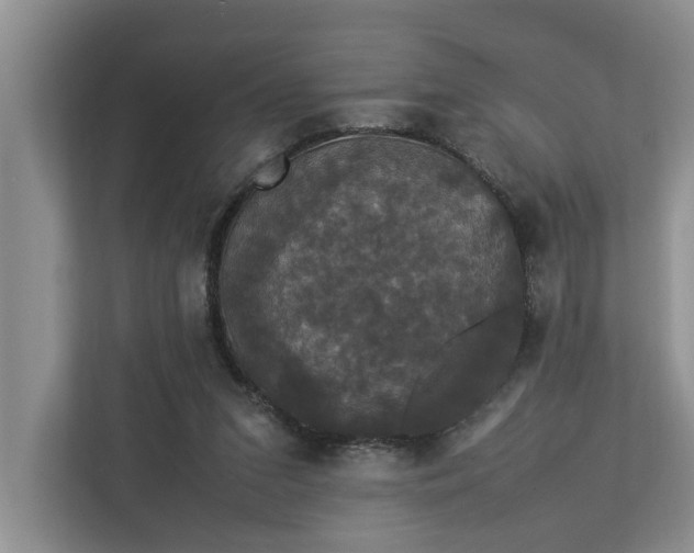 X0000112830207200909041509