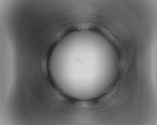 X0000112830209200909041509