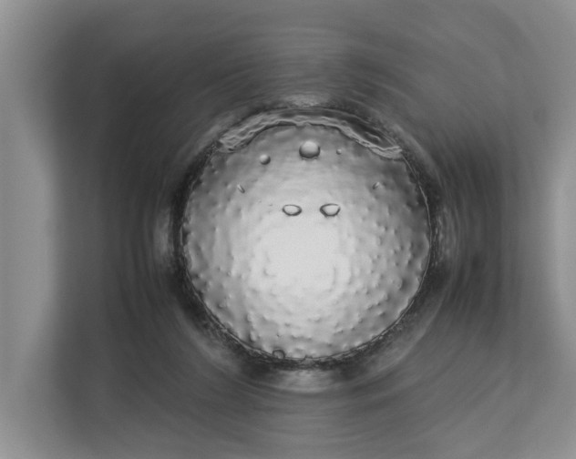 X0000112830212200909041509