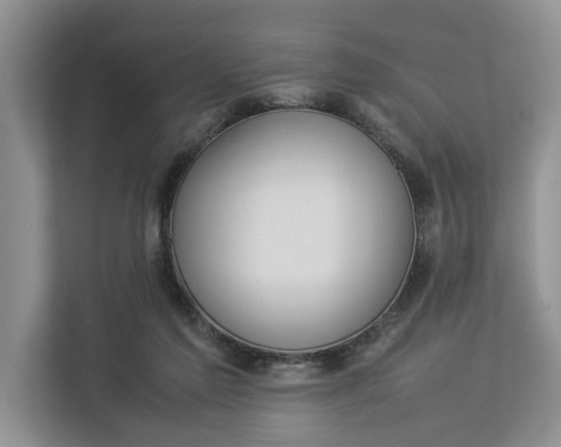 X0000112830213200909041509