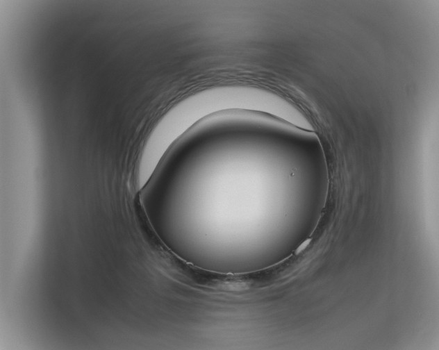 X0000112830217200909041509