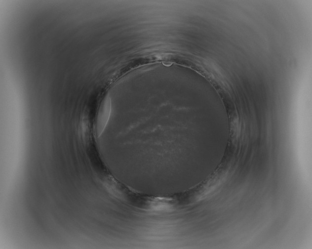 X0000112830222200909041509