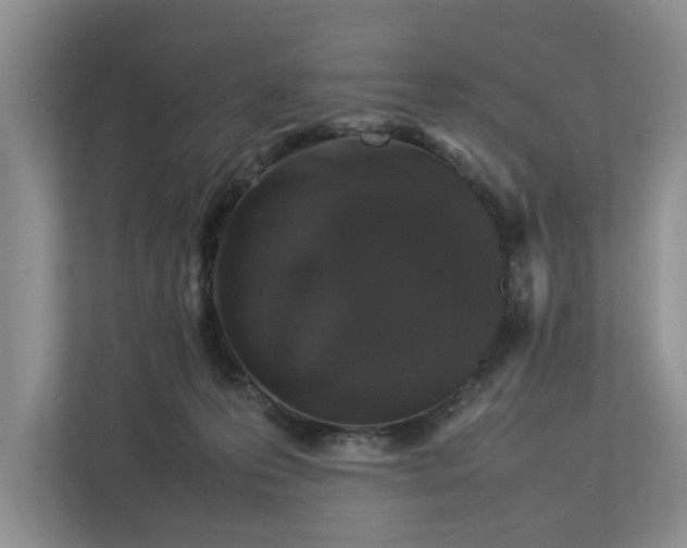 X0000112830223200909041509