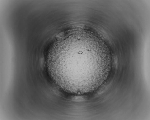 X0000112830224200909041509