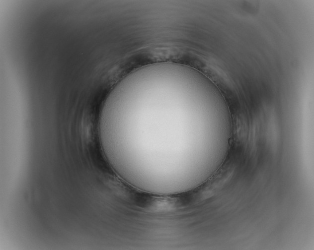 X0000112830226200909041509