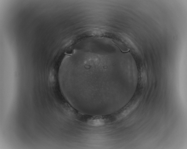 X0000112830228200909041509