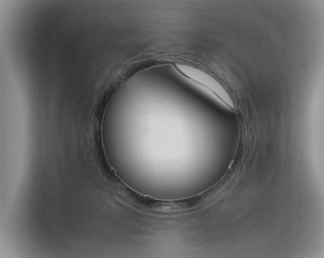 X0000112830229200909041509