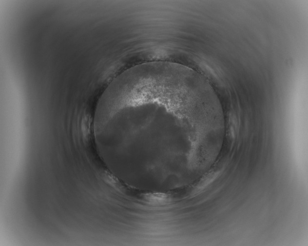 X0000112830230200909041509