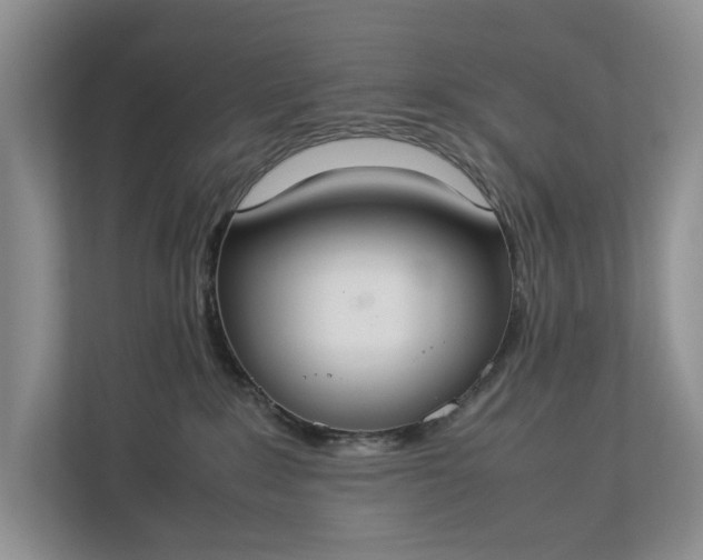 X0000112830235200909041509