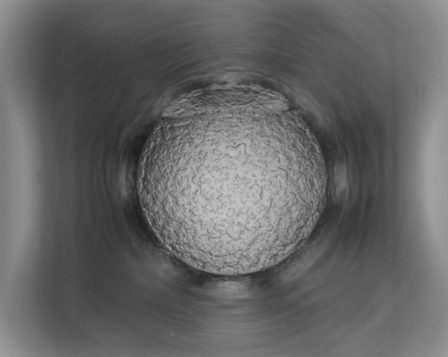 X0000112830236200909041509