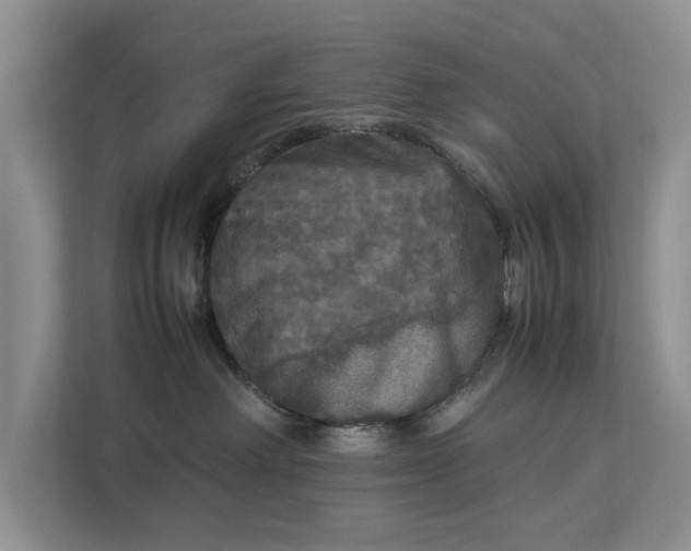 X0000112830238200909041509