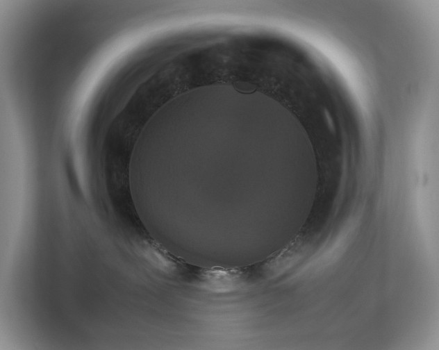 X0000112830239200909041509