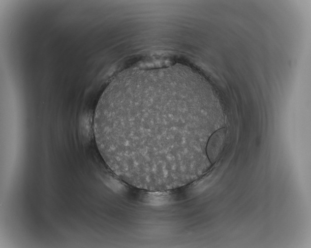 X0000112830240200909041509